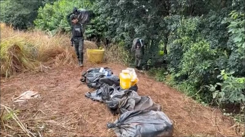 （视频）橡胶园内枪声大作！骑兵部队与走私毒品团伙深夜在清盛边境河岸交火，再缴获近200万粒冰毒