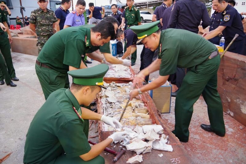 越南查获逾200根象牙，藏匿于从非洲走私进口的锯材中
