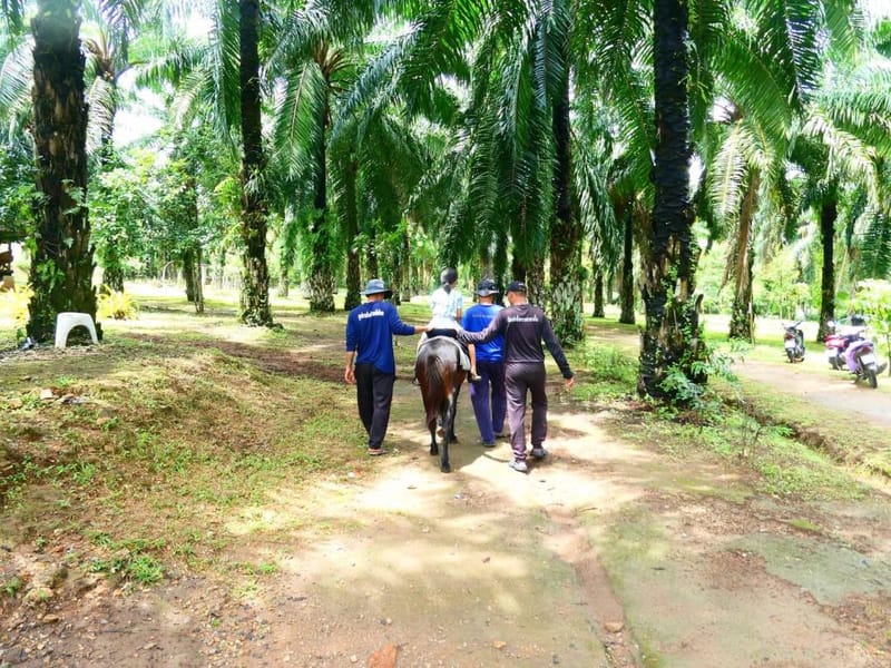 监狱游——走进3座示范临时监狱，探索泰国最罕见的全新旅游视角