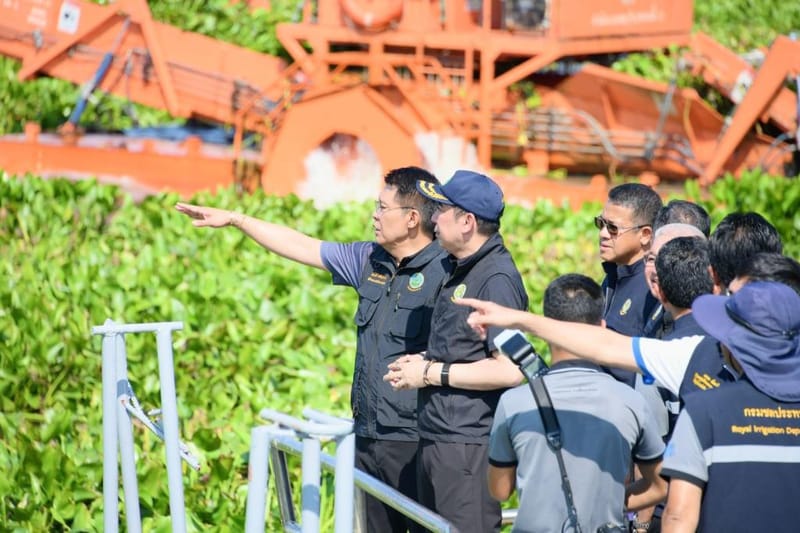 威塔亚下令全面清除水葫芦，加快疏通水道，同步提升全国水资源管理效率