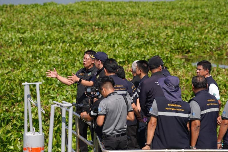 威塔亚下令全面清除水葫芦，加快疏通水道，同步提升全国水资源管理效率